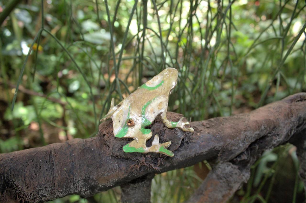 Salamandra Costa Rica Jimenez Exterior photo